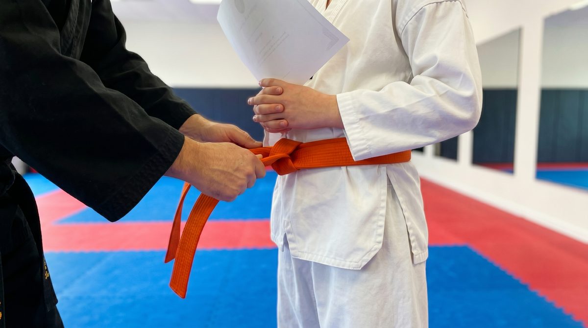 Belt Promotion Ceremony Photo