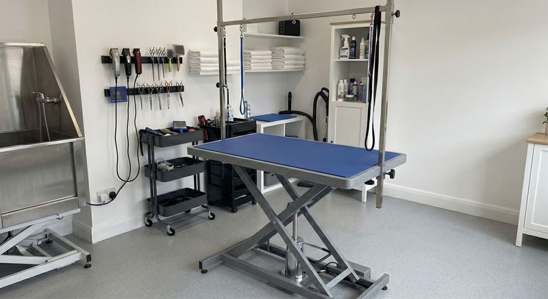 A look inside our bright, sanitized grooming space